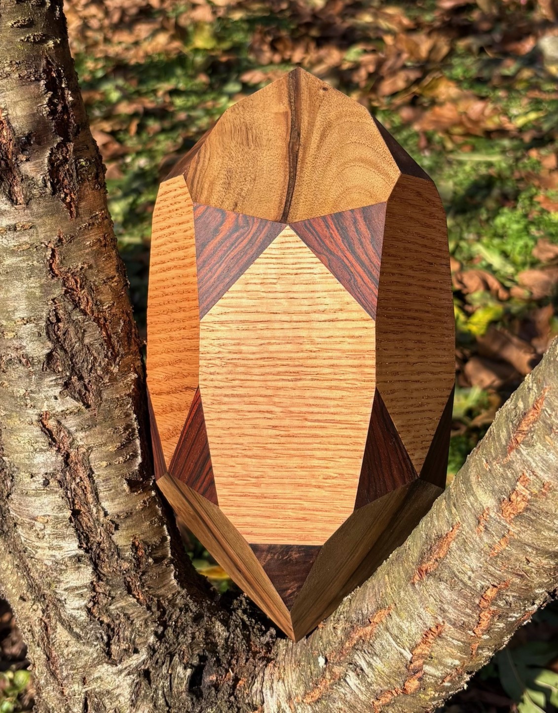 image from Quartz - Brazil twin