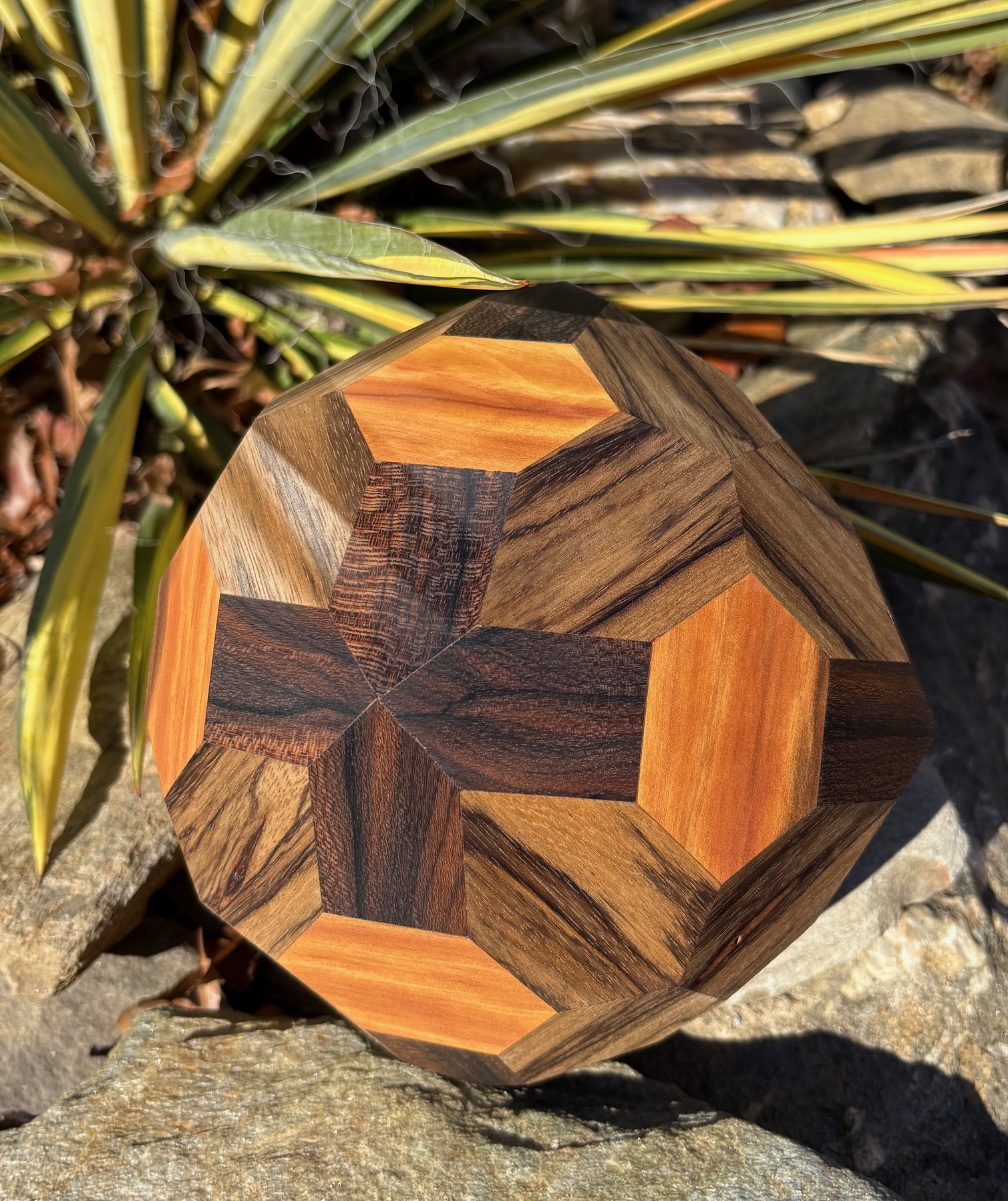 image from Introduction